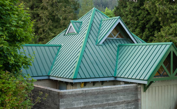 Best Roof Moss and Algae Removal  in Inwood, NY